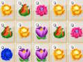 Jogo Flor Mesclar  online