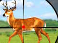 Jogo Jogos de caça selvagem 3D  online
