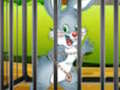 Jogo Enigma da cenoura dos coelhos  online