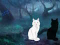 Jogo Halloween: Fuja da Terra Negra  online