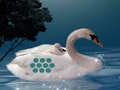 Jogo Salve o Cisne Mãe Filho  online