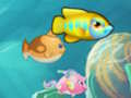 Jogo Coma peixes pequenos  online