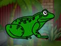 Jogo Resgate o sapo verde da masmorra  online