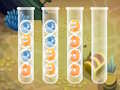 Jogo Classificar bolhas  online