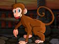 Jogo Fuga diminuta de macaco  online