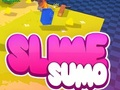 Jogo Lodo de sumô Modelo 3D  online