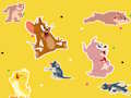 Jogo O programa de Tom e Jerry Encontre!  online