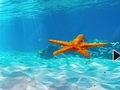 Jogo Fuja da estrela do mar subaquática  online