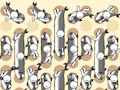 Jogo Coleta de peixes  online