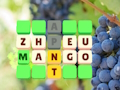 Jogo Slide de palavras  online
