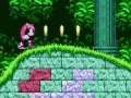Jogo Poderoso e Ray em Sonic 2  online