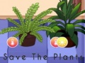 Jogo Salve as plantas  online