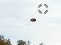Jogo Prática de tiro olímpica  online