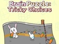 Jogo Quebra-cabeça cerebral: escolhas complicadas  online