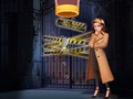 Jogo Detetive de alfinetes  online