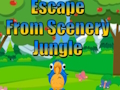 Jogo Fuja da selva do cenário  online