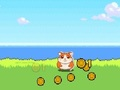 Jogo Clicker de Hamster Kombat  online