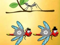 Jogo Encontre Libélula Cooper  online