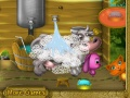 Jogo No campo  online