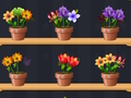 Jogo Bom Mestre das Flores  online