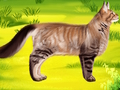 Jogo Gato Pet Médico Dentista  online