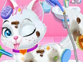 Jogo Cuidados veterinários para animais de estimação  online