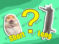Jogo Questionário infantil: o mais curto e o mais longo  online