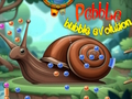 Jogo Evolução da bolha de seixo  online