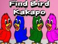 Jogo Encontre o pássaro Kakapo  online