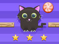 Jogo Desafio do gato  online