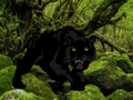 Jogo Fuja da Floresta dos Panteras Negras  online
