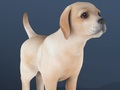 Jogo Animal de estimação ocioso  online
