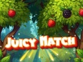 Jogo Combinação suculenta  online