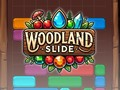 Jogo Deslizamento da floresta  online