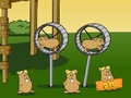 Jogo Codename Kids Next Door Vôo dos Hamsters  online