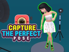 Jogo Capture a pose perfeita  online