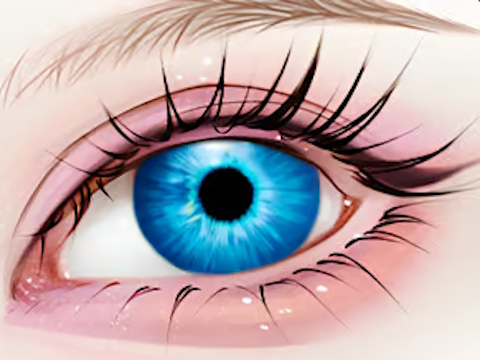 Jogo Cor dos olhos faça você mesmo  online
