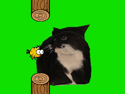 Jogo Flappy Bird girando oia oia gato  online