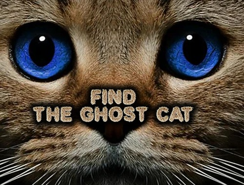 Jogo Encontre o gato fantasma  online