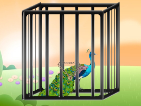 Jogo Resgatar o pavão radiante  online