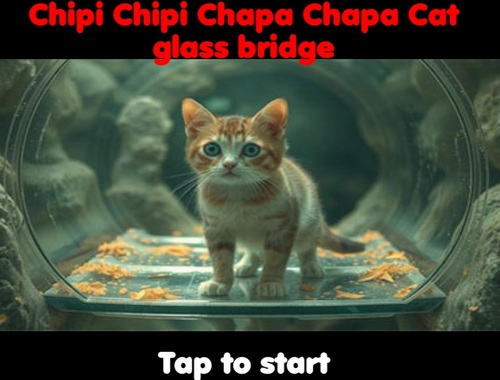 Jogo Chipi Chipi Chapa Chapa Cat Glass Bridge  online