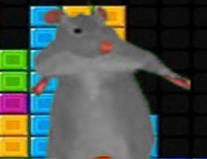 Jogo Ratomilton queda de blocos  online