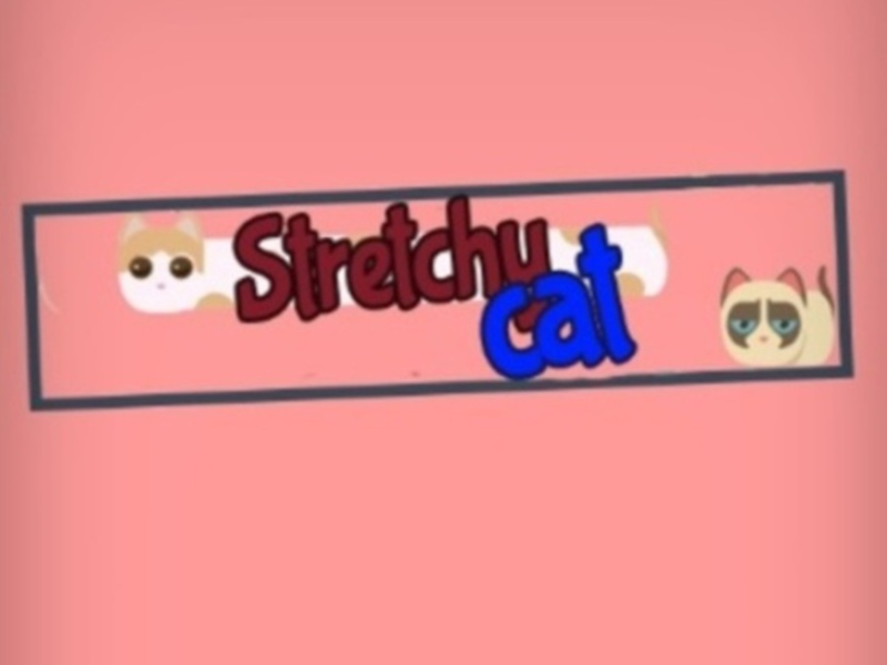 Jogo Gato elástico  online