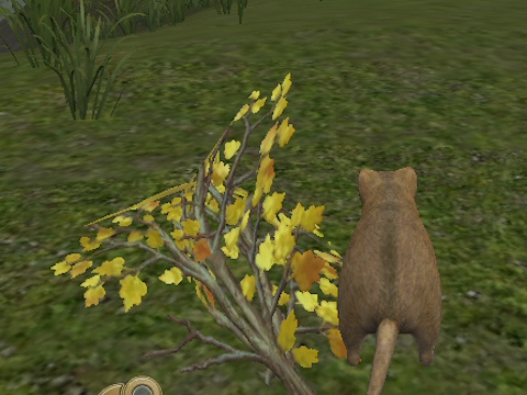 Jogo Mouse da floresta  online