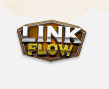 Jogo Fluxo de ligação  online
