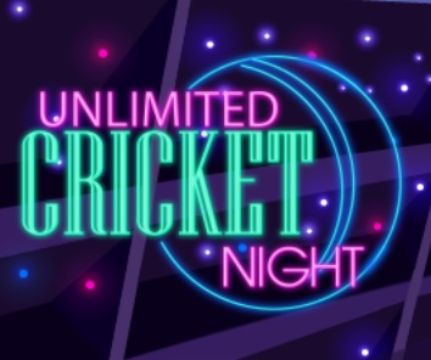 Jogo Noite ilimitada de críquete  online