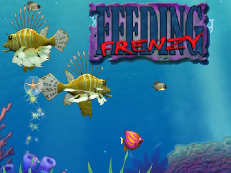 Jogo Alimentando frenesi online