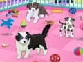 Jogo Cuidados com animais de estimação  online