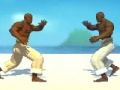 Jogo Caça capoeira  online