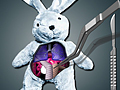 Jogo Salve o coelho  online